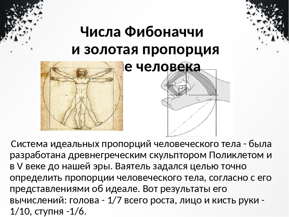 Числа фибоначчи рисунок