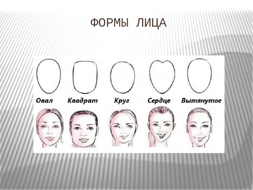 Округлая форма головы. Формы лица. Типы формы лица. Овальная форма лица. Овальный Тип лица у женщин схема.
