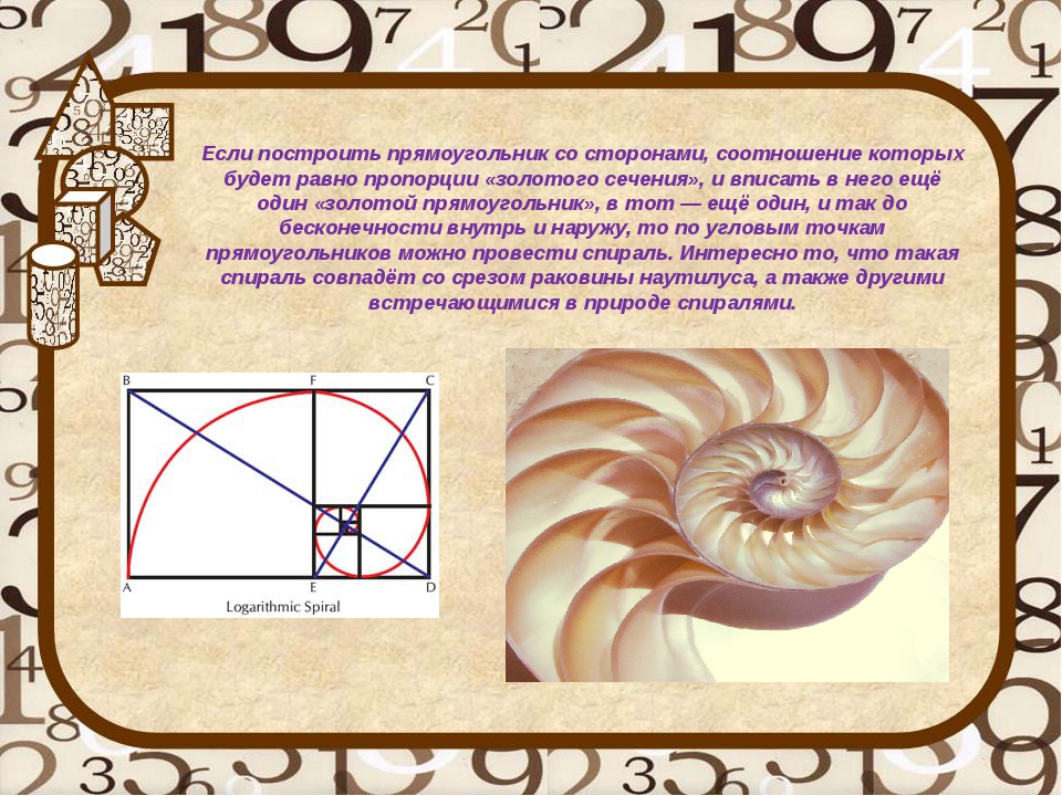 Золотое сечение готовая презентация