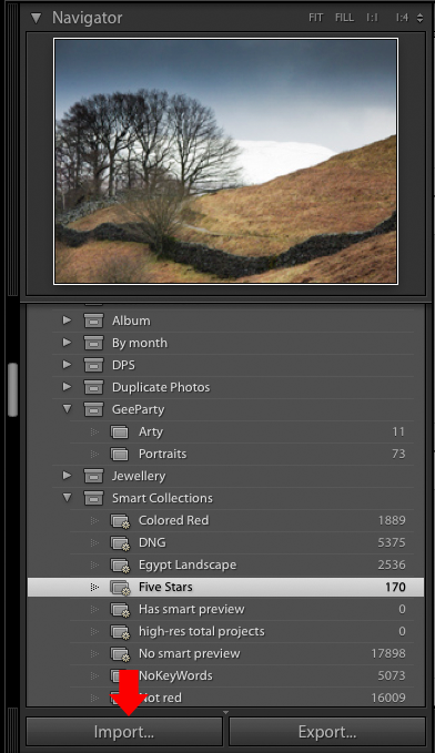 Importing photos into Lightroom: The Import button