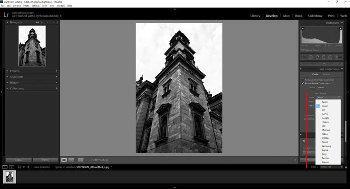 a screenshot showing how to use the lens distortion panel in Lightroom