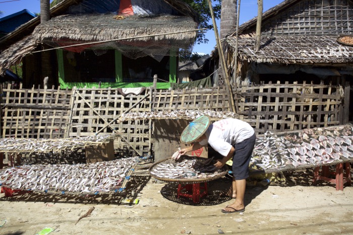 Photo of a person on the street drying fish