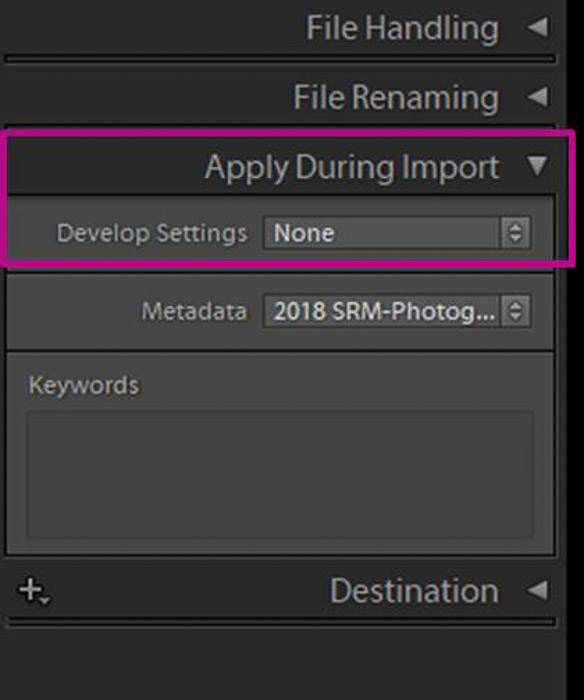 A screenshot showing how to apply develop settings during import in lightroom 
