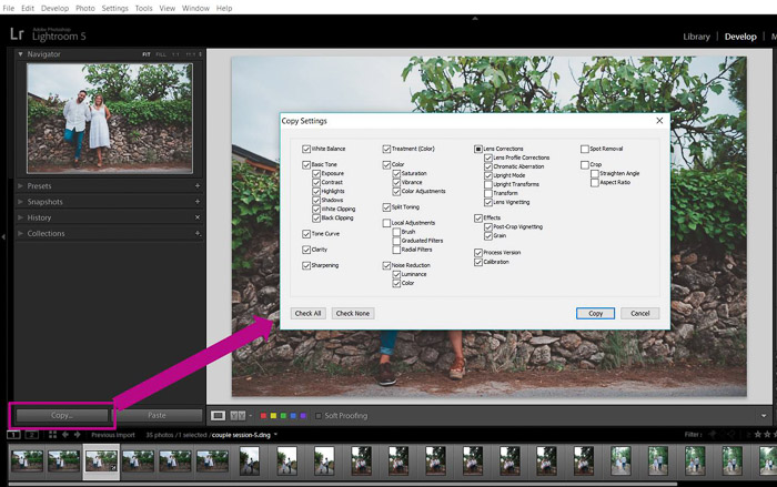 A screenshot showing how to batch edit in lightroom - copy