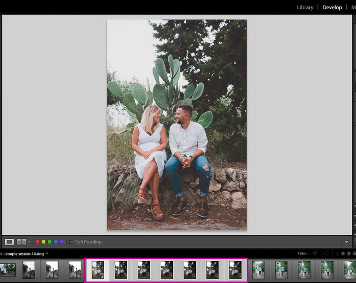 A screenshot showing how to use the Synchronisation Option to batch edit in Lightroom 