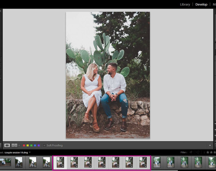 A screenshot showing how to sync results to batch edit in Lightroom 