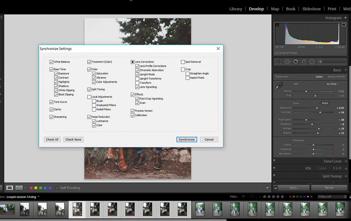 A screenshot showing how to batch edit in lightroom - Synchronisation Option