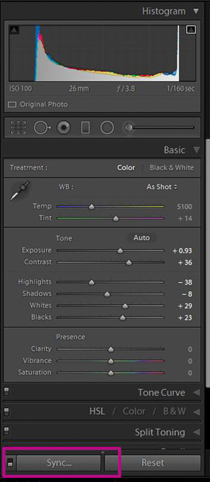A screenshot showing how to batch edit in lightroom - sync settings 