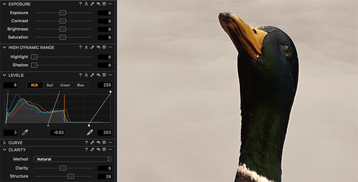 Screenshot of sharpening a photo of a duck with Capture One