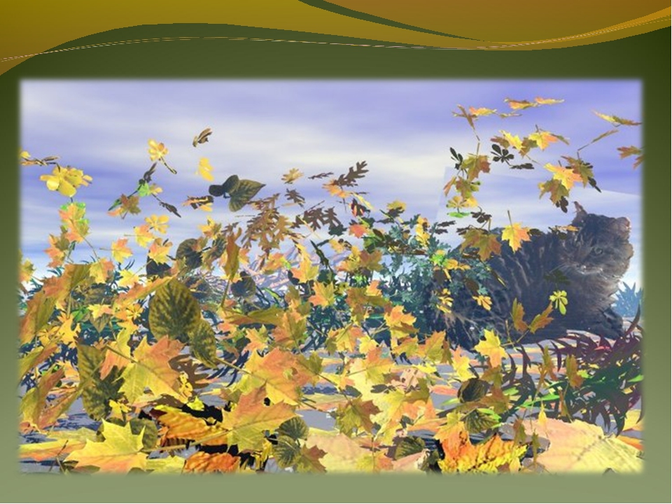 Ветер уносит листья. Листья кружатся в воздухе. Осенний ветер. Листопад ветер. Осенние листья на ветру.