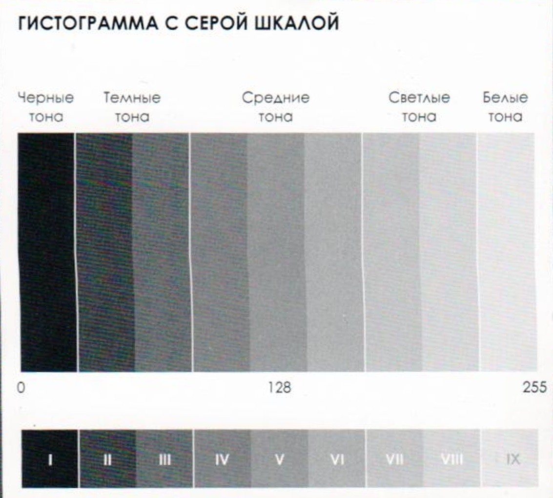 Гистограмма в фотографии что это