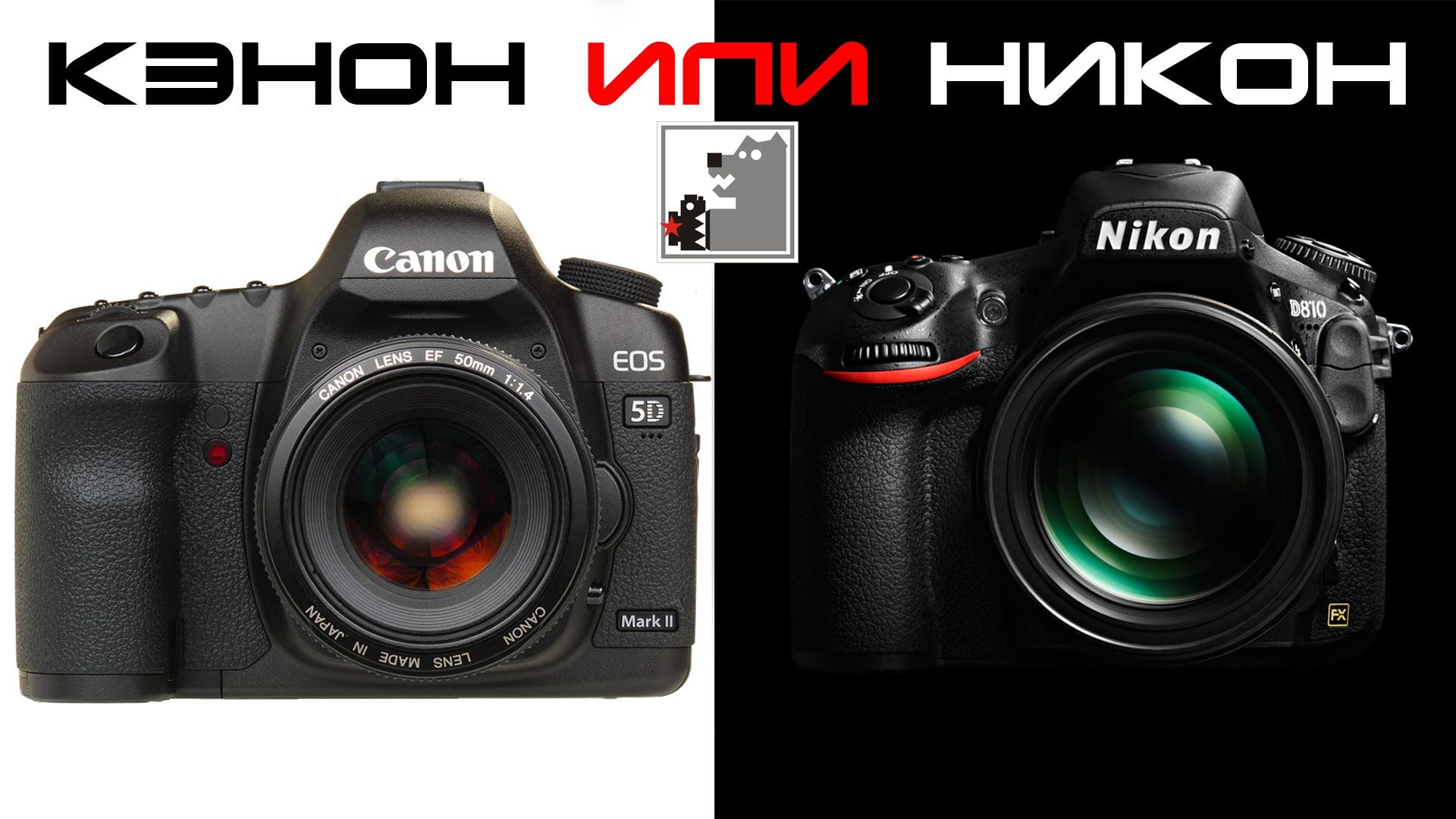 Никоны фотоаппараты лучше кэнон. Фотокамеры Никон сони и Кэнон. Canon или Nikon. Canon vs Nikon. Кэнон или Никон фотоаппарат.