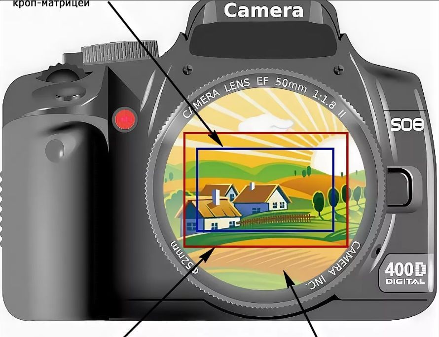 Какое изображение получается на фотопленке