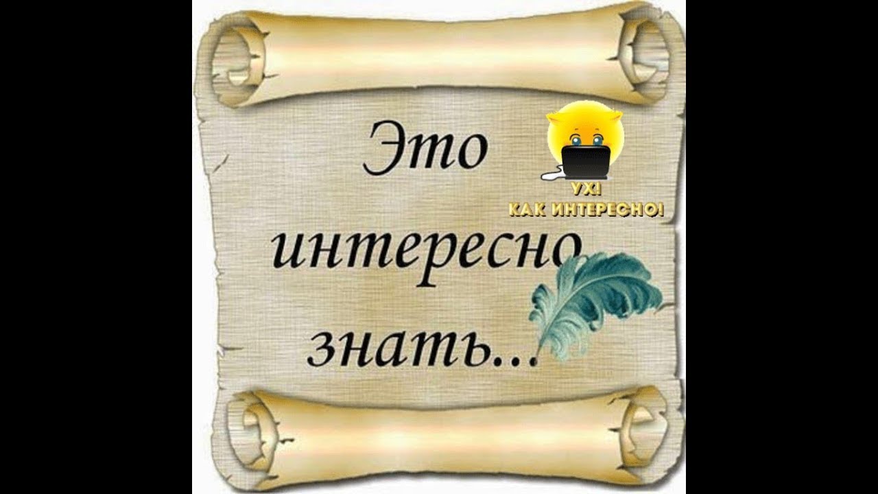 Появилось интересно. Это интересно знать. Это интересно надпись. Интересно. Это интересно знать надпись.