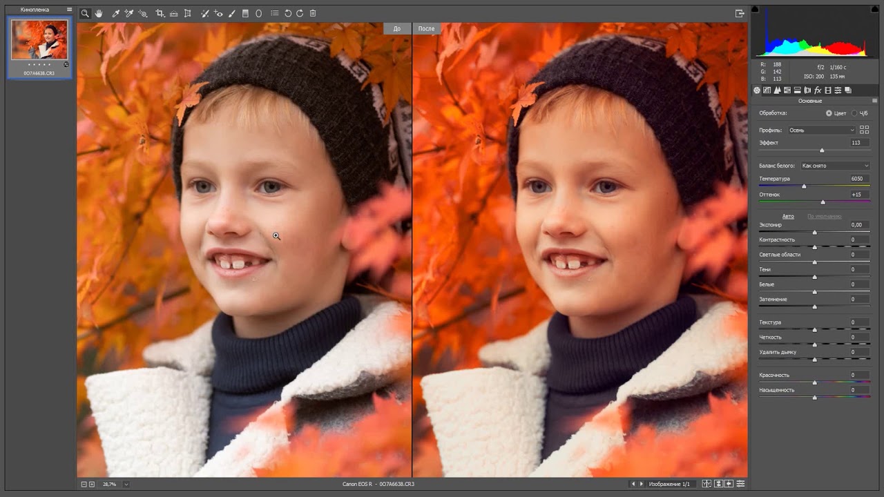 Проект обработка фотографий в adobe photoshop