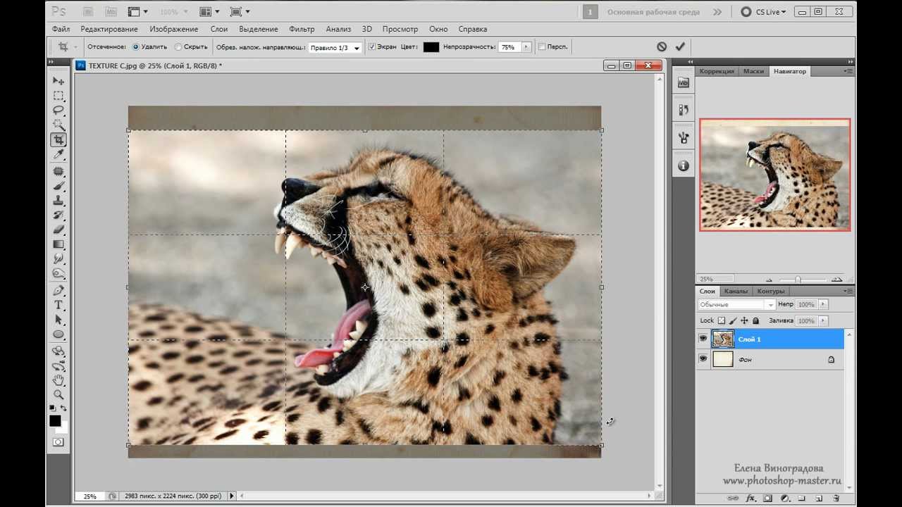 Как растянуть картинку в photoshop