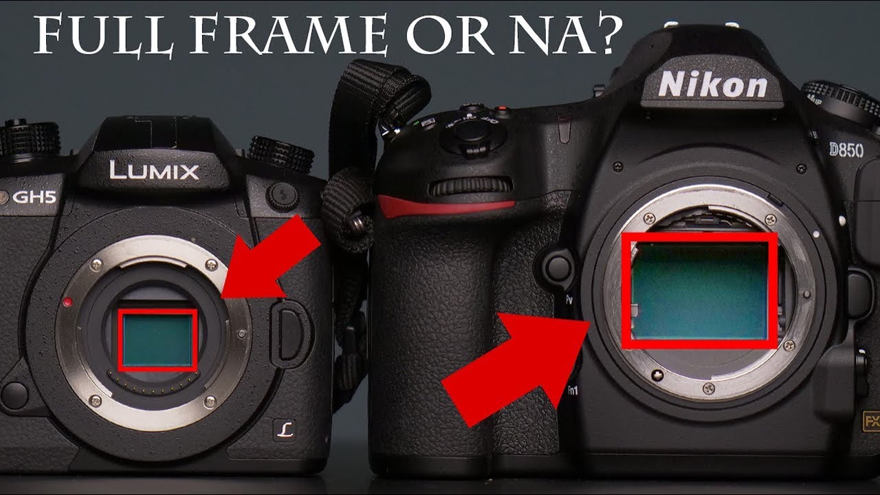 Полный кадр. Кроп vs Full frame. Full frame матрица. Матрицы Full frame фотоаппараты. Кроп и фулфрейм в фотоаппарате.