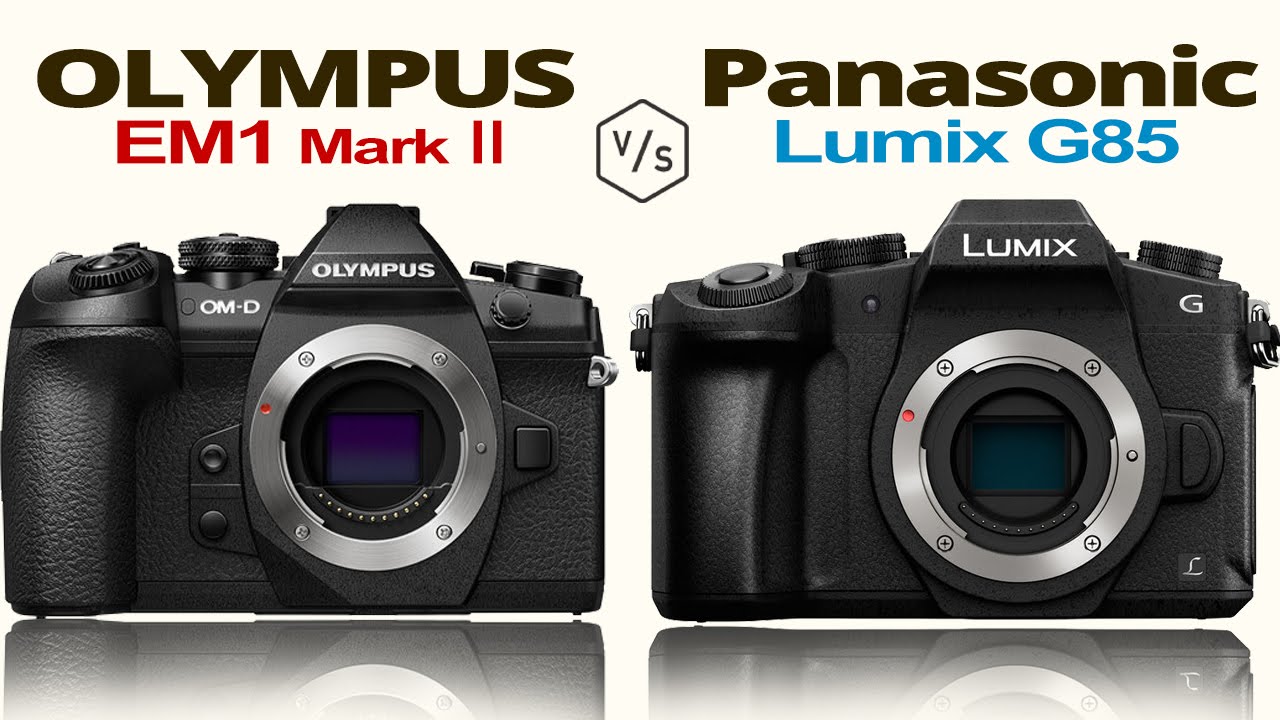 1 2 review. Olympus em1 Mark II. Olympus e-m1 II vs Panasonic. Панасоник mark2. Панасоник Марк 2.