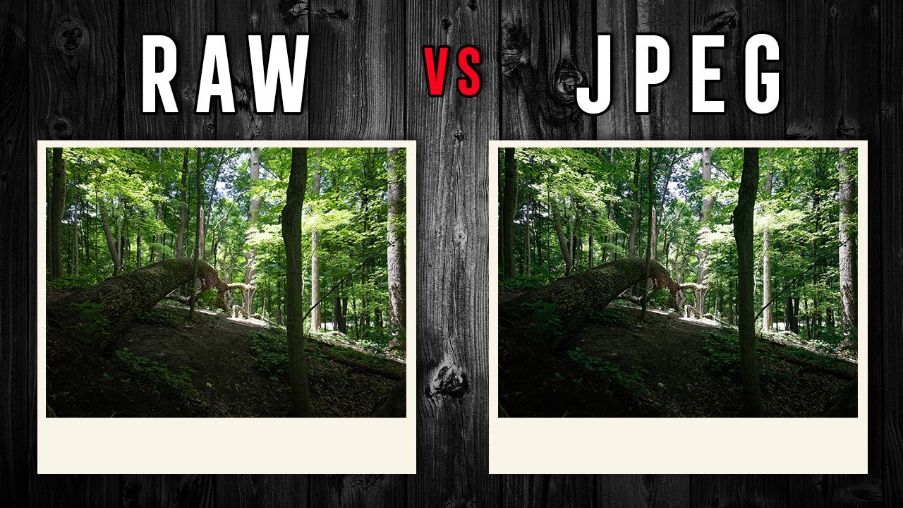 Raw формат. Raw vs jpeg. Рав против джипег. Съемки в рав или джипег. Raw versus jpeg.