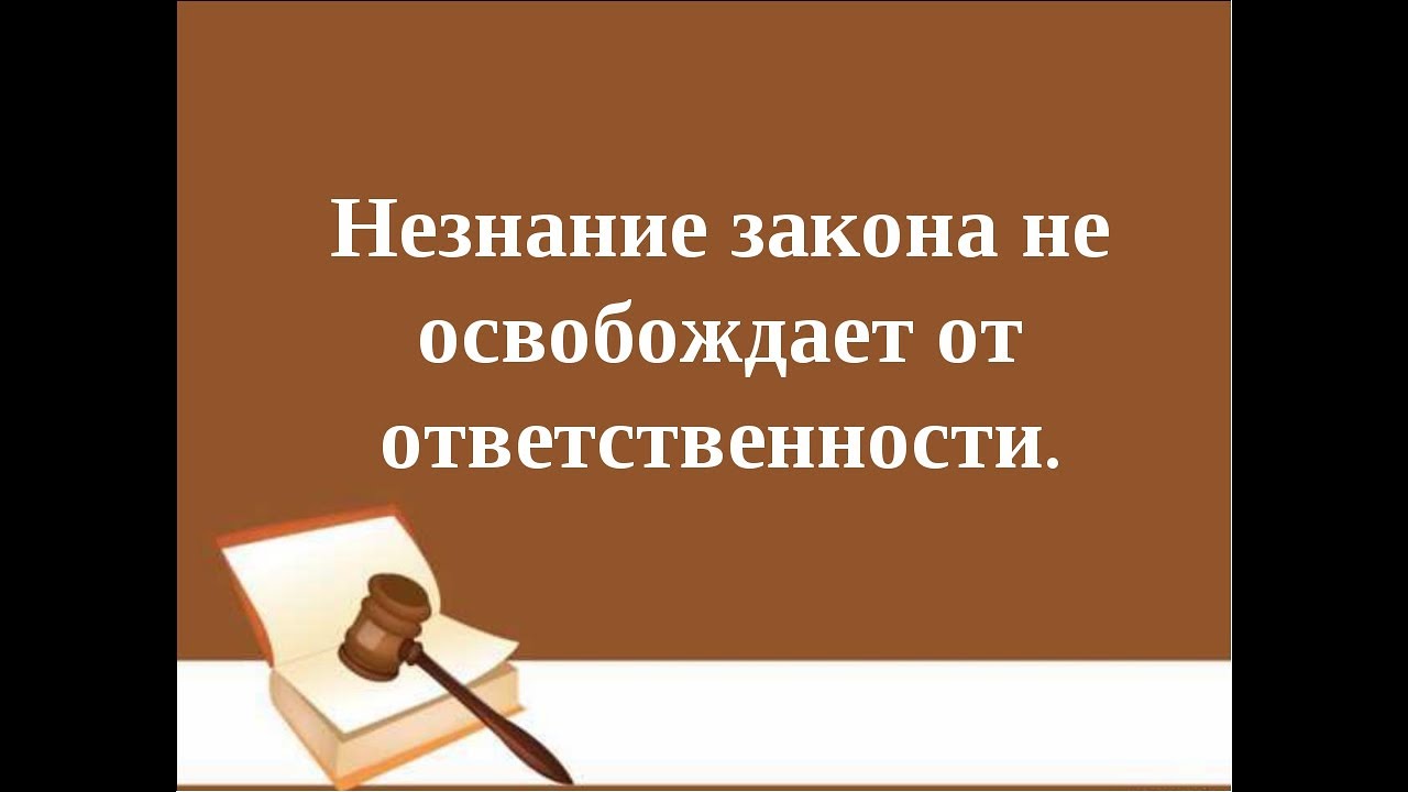 Среди законов. Незнание закона не освобождает от ответственности. Высказывания о законе. Не нарушайте закон. Составить памятку учись уважать закон.