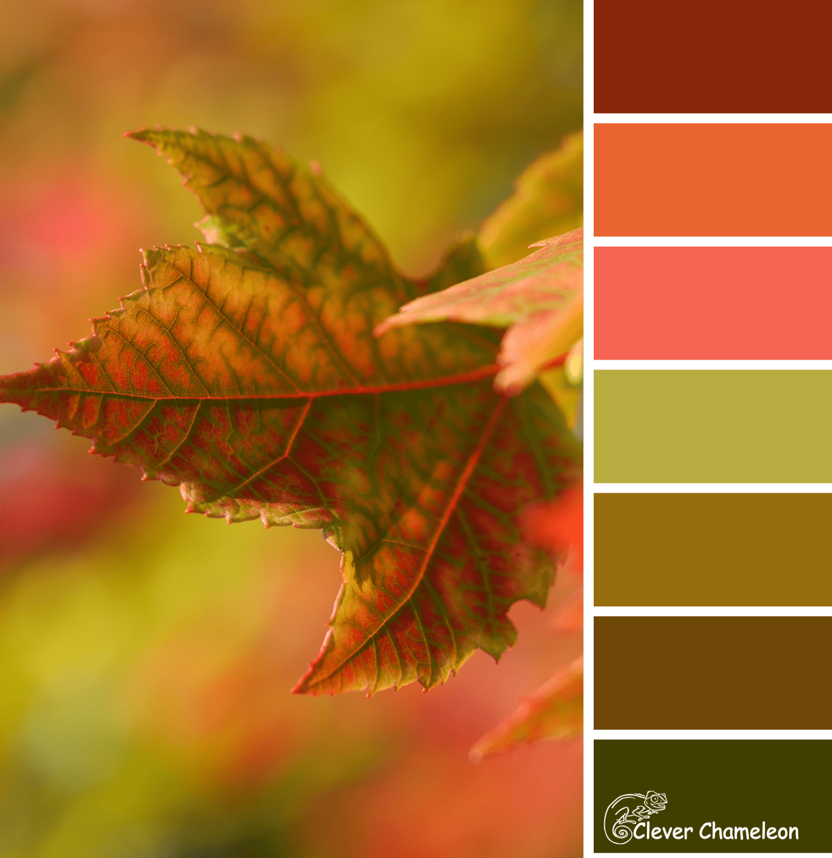 Оттенки красно коричневого цвета. Цветовая палитра с горчичным цветом. Осенние цвета. Осенняя гамма цветов. Осенние цвета палитра.