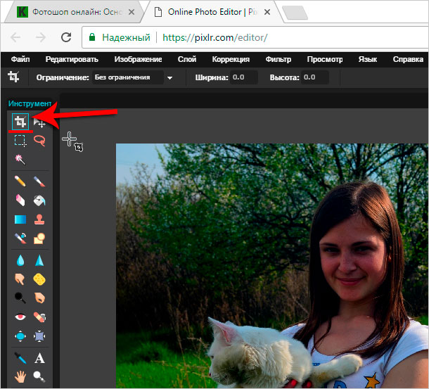 Программа обрезки картинки онлайн