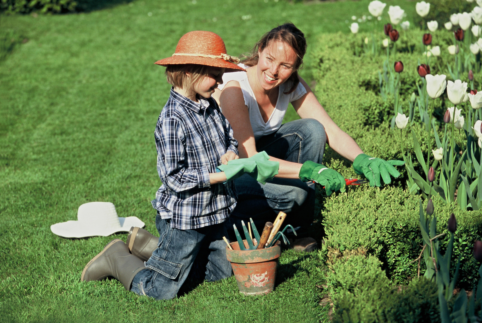 Gardening tv