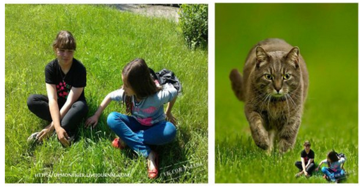 Как отфотошопить текст на картинке