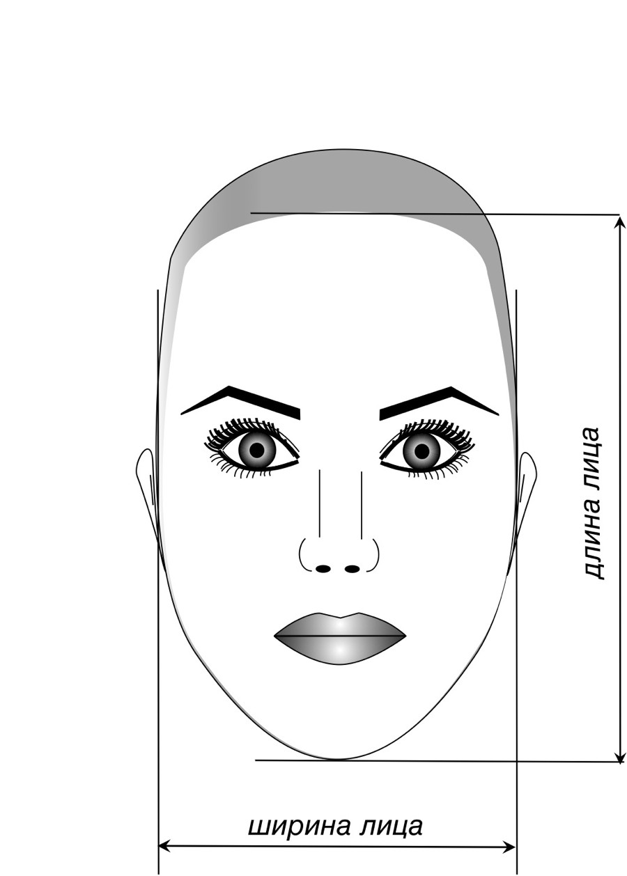 Правильные черты лица у женщин пропорции фото