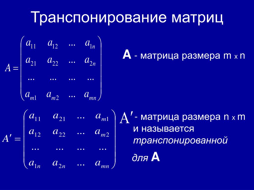 Размерность матрицы равна