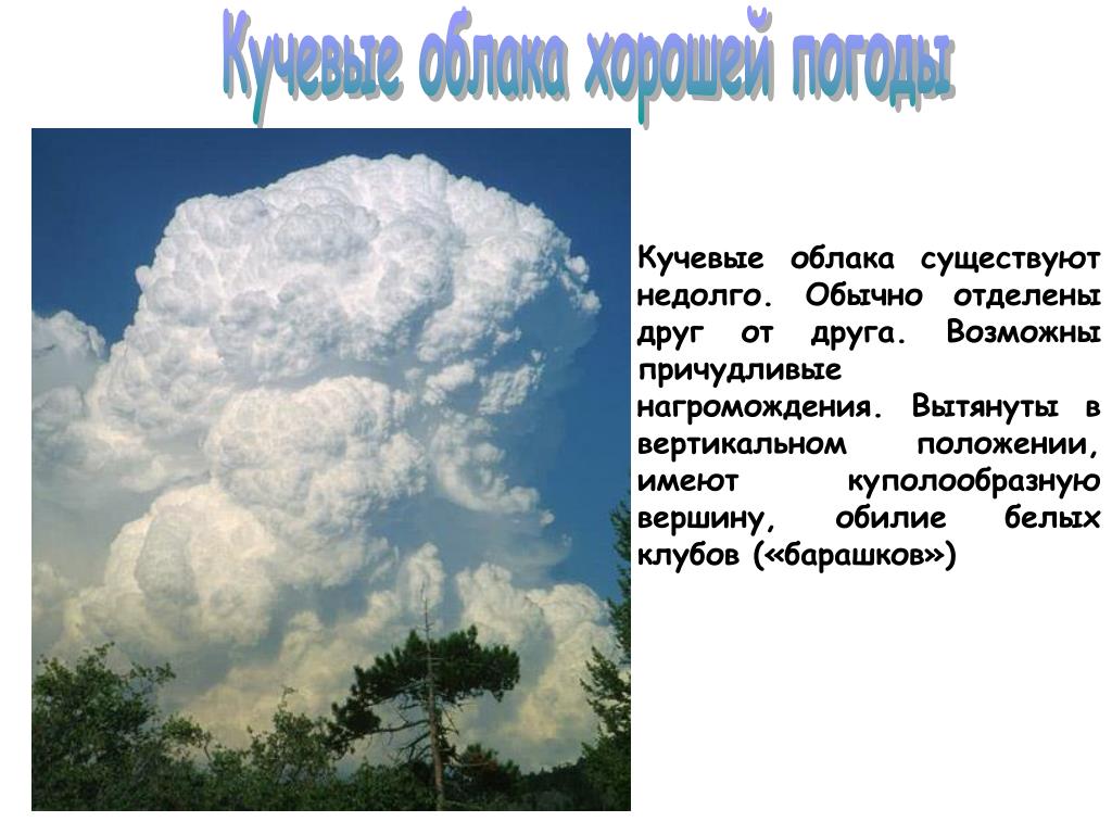 Сколько весил облако. Кучевые облака. Виды кучевых облаков. Описать Кучевые облака. Доклад про Кучевые облака.