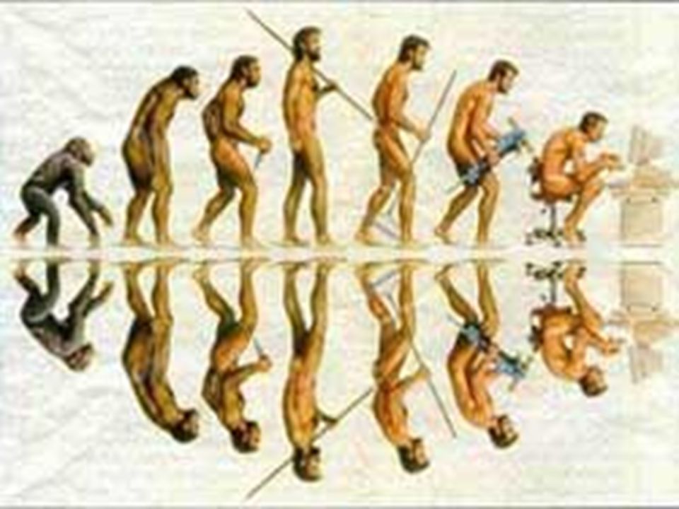 Evolution ошибка. Эволюция. Эволюция 9. Рука эволюции в теле человека картины. Мужчина ошибка эволюции