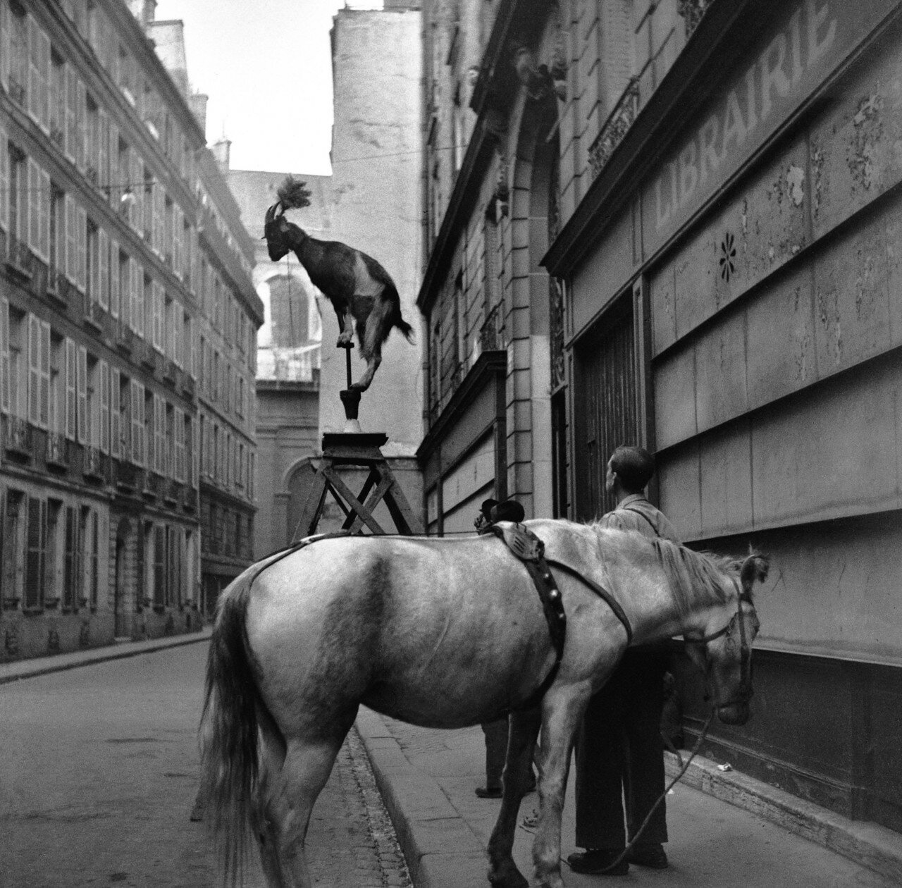 1948. Рю Сервандони. Париж