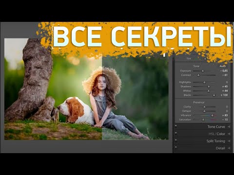 Как в lightroom сделать размытый фон