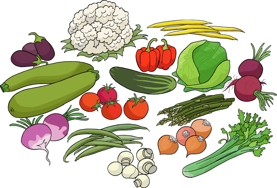 Овощи картинки для детей. Нарисовать овощи. Овощи рисунок. Овощи рисунок для детей. Овощи схематично.