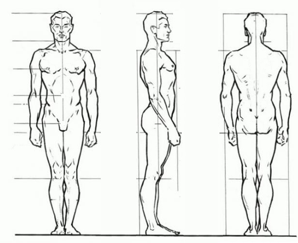 Как рисовать человека в профиль в полный рост