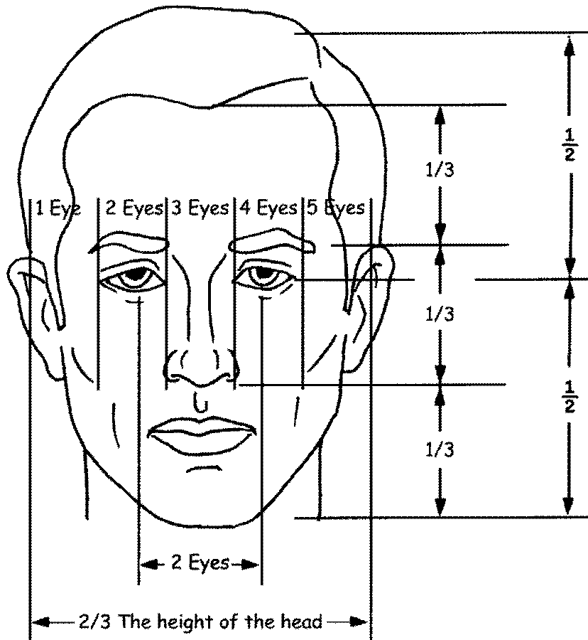 Лицо рисунок схема. Пропорции лица человека схема. Портрет по пропорциям. Пропорции лица человека для рисования. Пропорции лица человека рисунок.
