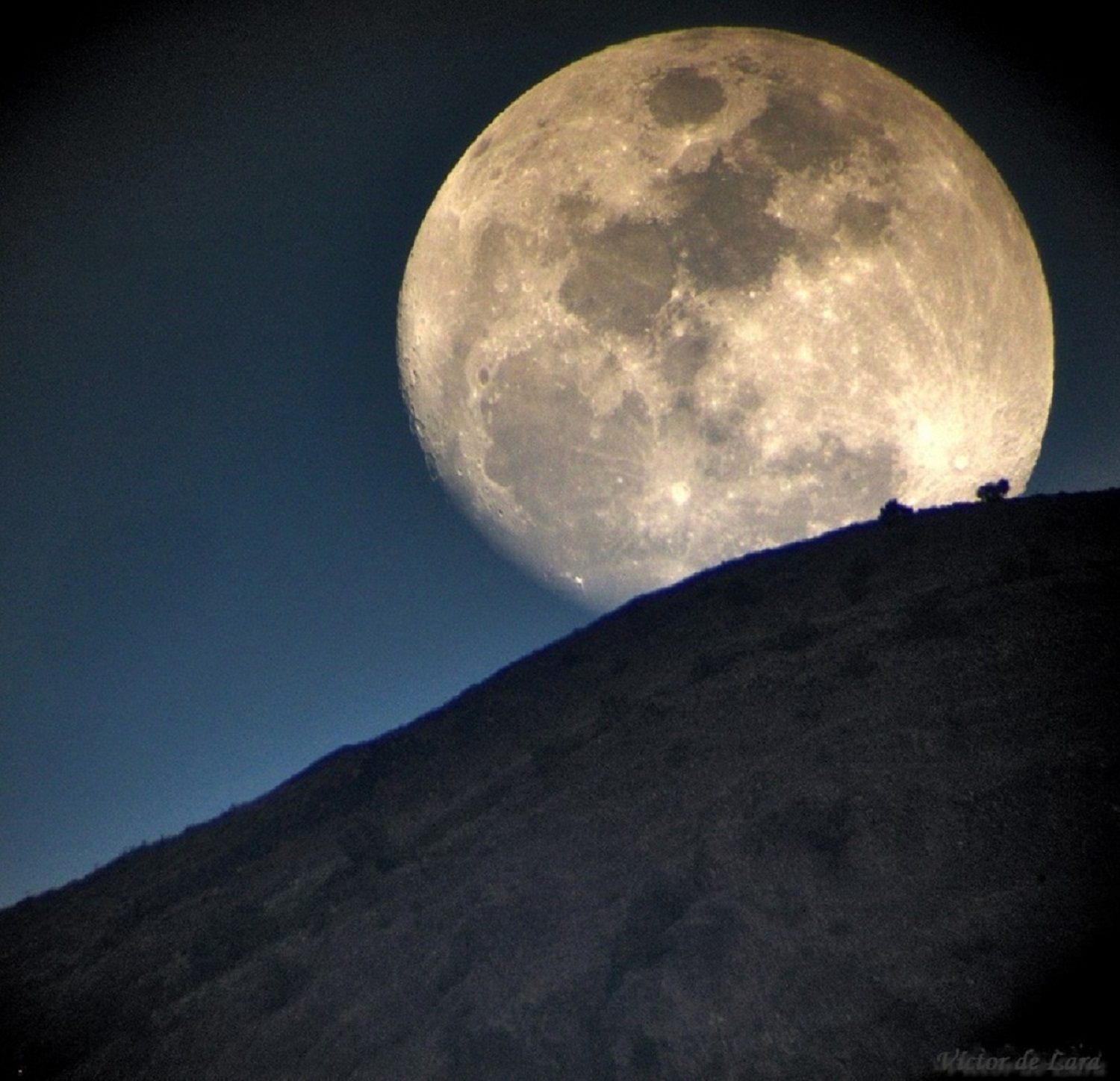 Луна светила из круглой пушистой. Луна. Луна вблизи. Огромная Луна. Луна и земля.