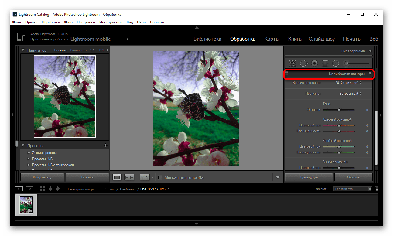 Использования инструмента Калибровка камеры для изменения цвета в фотографии в программе Adobe Photoshop Lightroom