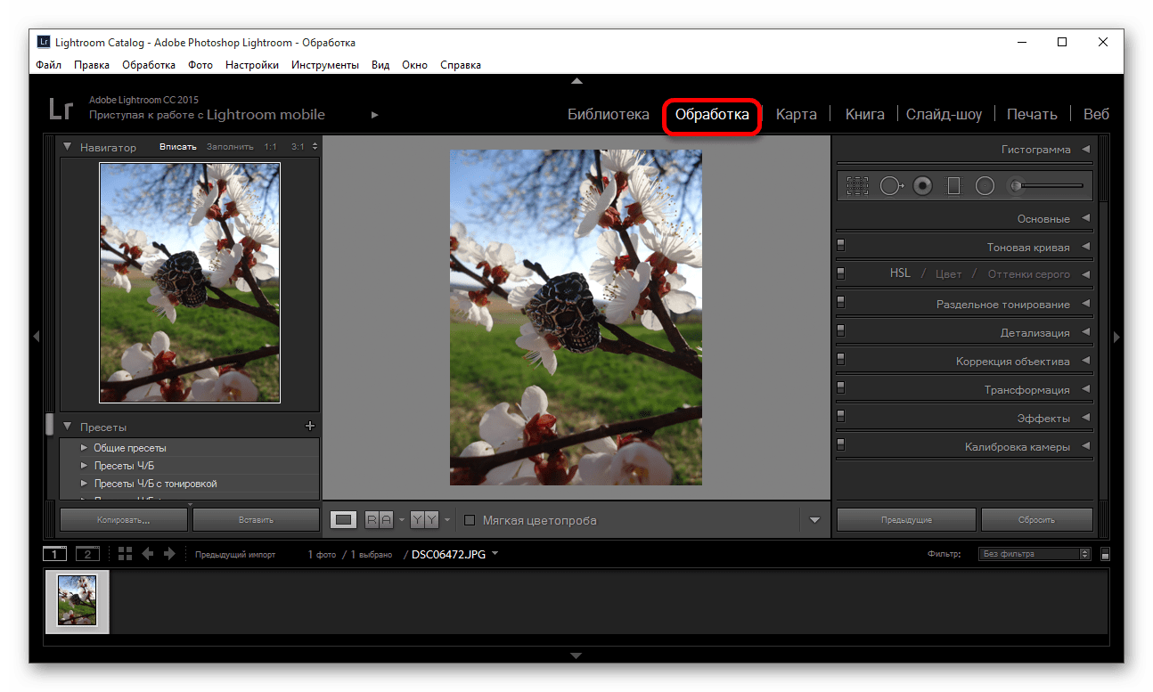 Переход к обработке фотографии в программе Adobe Photoshop Lightroom