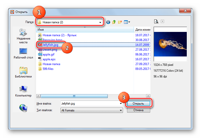 Открытие изображения JPG в окне открытия файла в программе FastStone Image Viewer