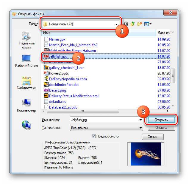 Открытие изображения JPG в окне открытия файла в программе XnView