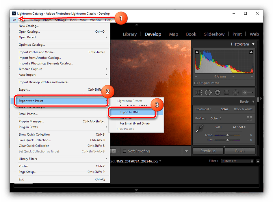 Как сохранить в лайтруме. Добавить пресет в лайтрум. Формат dng в лайтруме. Как установить пресеты в лайтрум. Установить лайтрум.