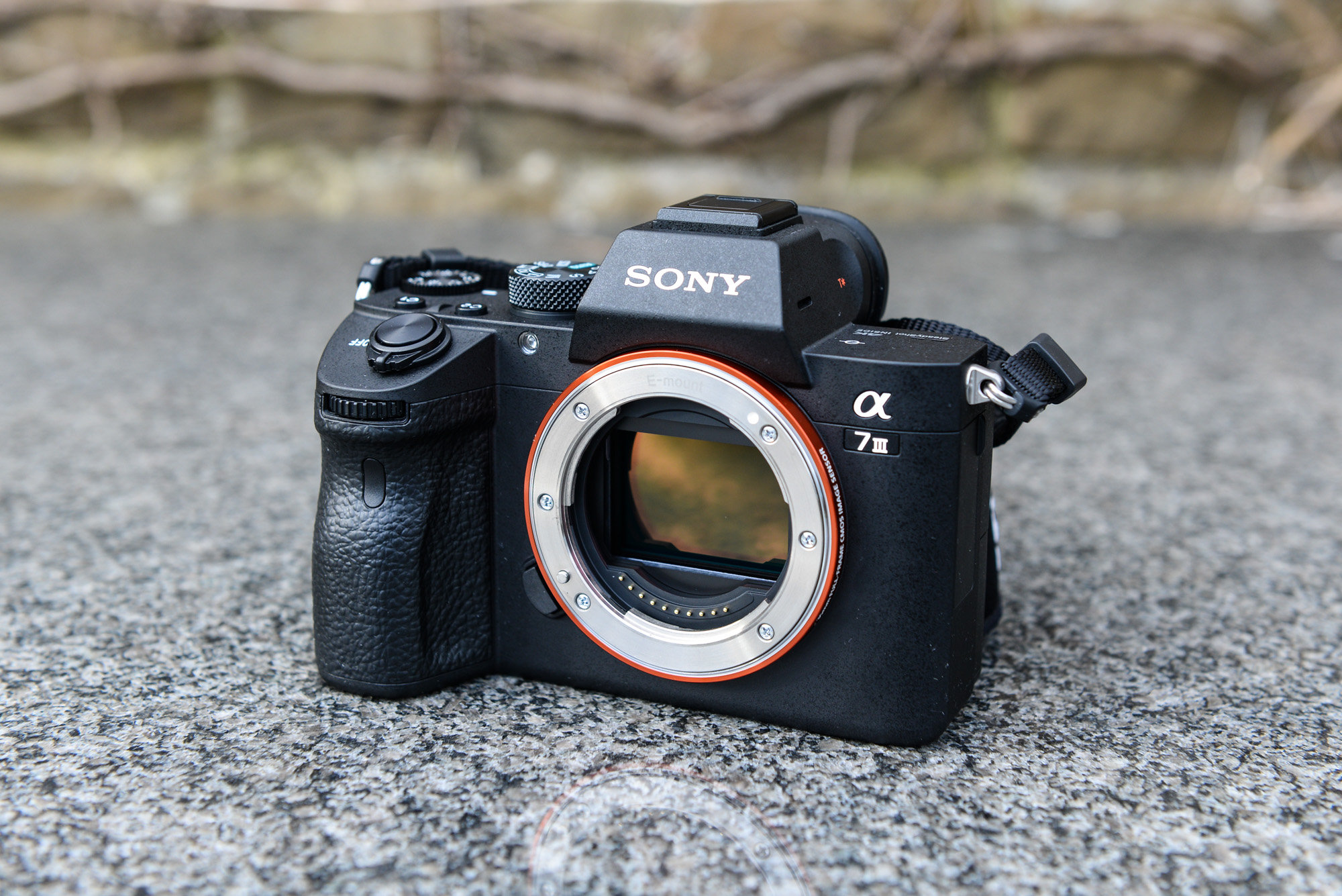 Sony a7s iii body. Sony Alpha a7 III. Sony a7 lll. Sony Alpha Ilce-7m3. Sony Alpha a7 Mark III.