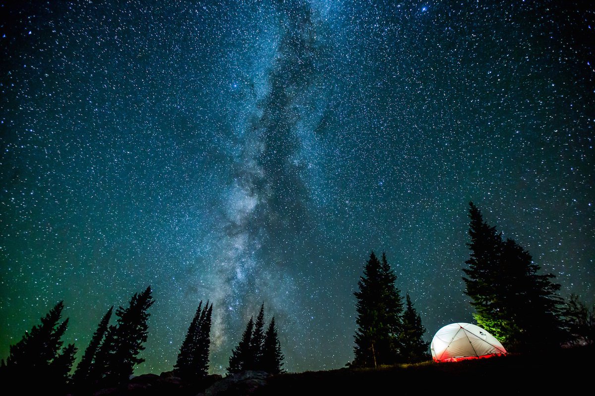 Звездное небо в лесу