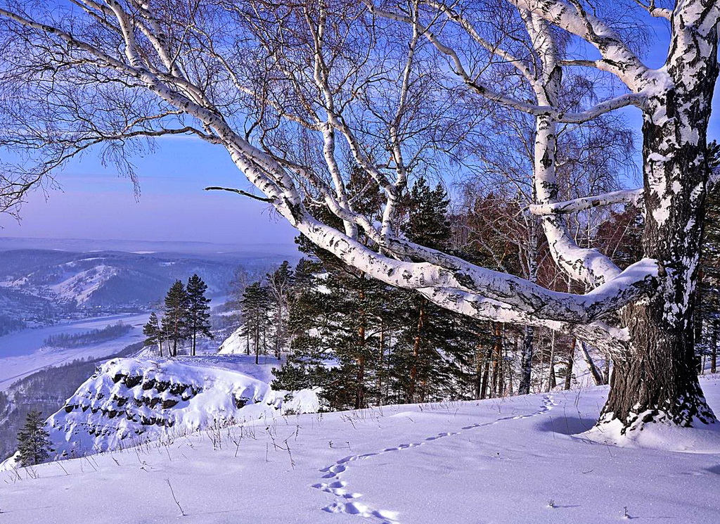 Фото зима день