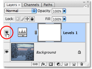 The layer visibility icon in the Layers palete. Image © 2009 Photoshop Essentials.com.