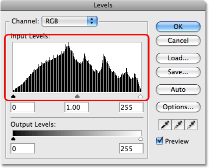 The histogram now shows missing areas in the Levels dialog box. Image © 2009 Photoshop Essentials.com.