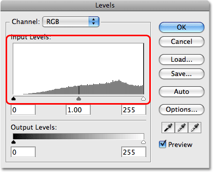 The histogram in the Levels dialog box now shows serious problems. Image © 2009 Photoshop Essentials.com.