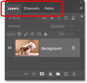 A panel group in Photoshop containing the Layers, Channels and Paths panels.